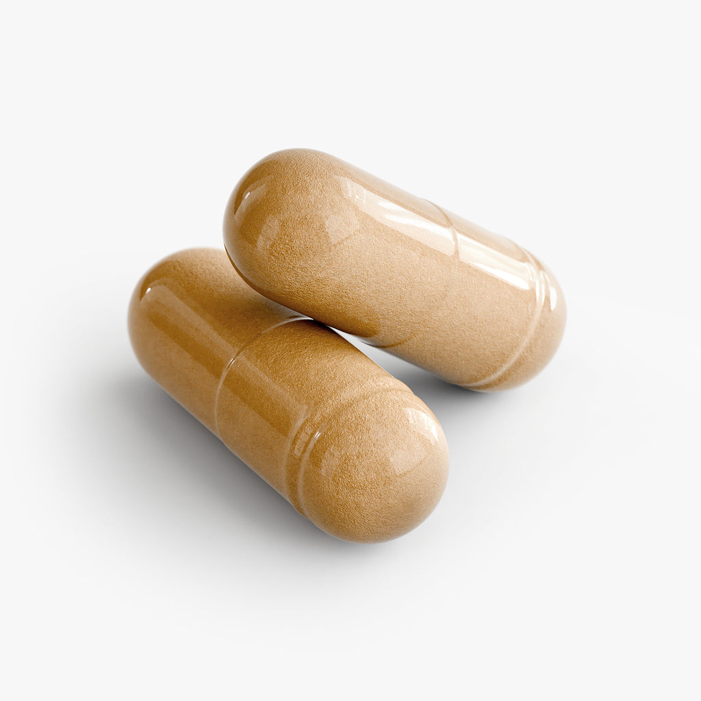 Fiber Plus - Improve Digestion and Gut Health Daily - Without Synthetic Fibers or Fillers